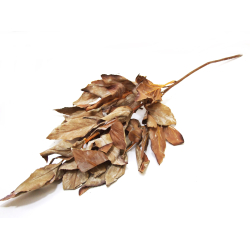 Liść dekoracyjny Gałązka Brudny Róż 65cm